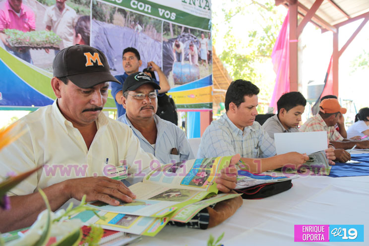 Productores de granos básicos abordan conservación de semillas criollas